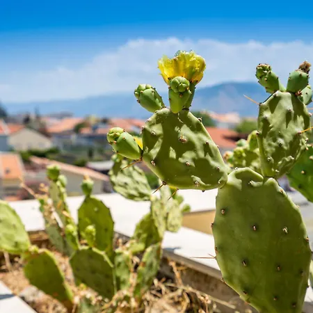 Capo Peloro (adults Only) 4*